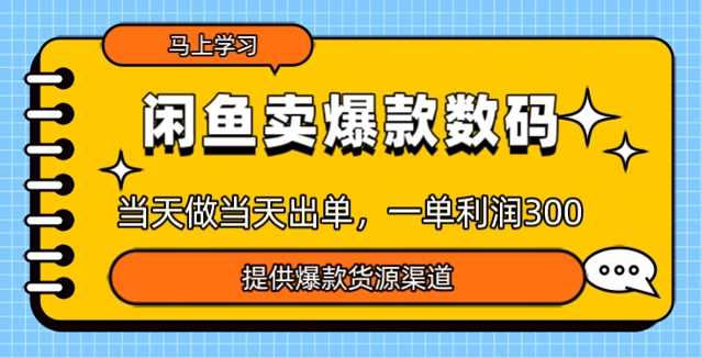 【2025.03.04】闲鱼卖爆款货源，当天做当天出单，一单利润300+百度网盘免费下载-芽米宝库