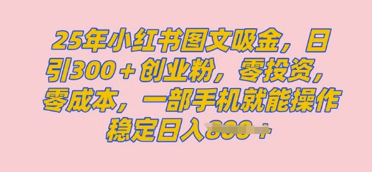 【2025.03.07】2025年小红书创业粉图文自热教程，日+300创业粉，单日变现多张，无脑操作，宝妈，小白抓紧冲百度网盘免费下载-芽米宝库
