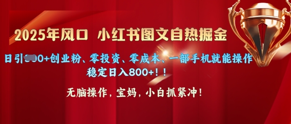 【2025.03.11】2025年风口小红书图文掘金，日引300+创业粉、零投资、零成本、一部手机就能操作百度网盘免费下载-芽米宝库