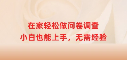 图片[1]-【2025.03.12】在家轻松做问卷调查，小白也能上手，无需经验百度网盘免费下载-芽米宝库