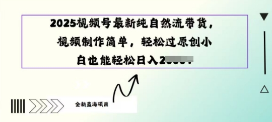 图片[1]-【2025.03.13】2025视频号最新纯自然流带货， 视频制作简单，轻松过原创小 白也能轻松操作百度网盘免费下载-芽米宝库
