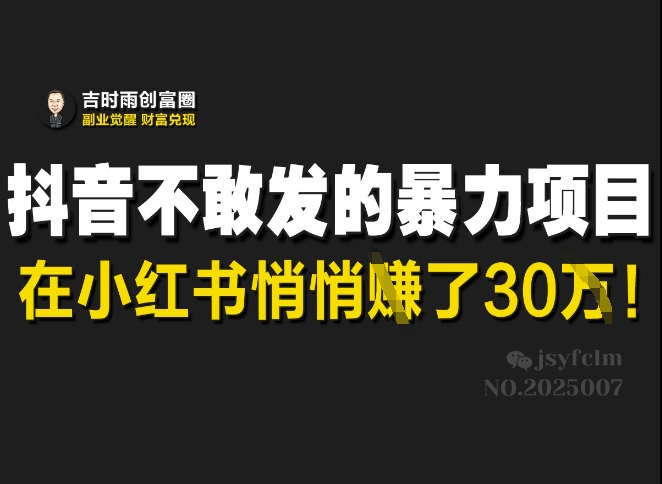 图片[1]-【2025.03.14】抖音不敢发的暴利项目，在小红书悄悄挣了30W百度网盘免费下载-芽米宝库