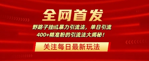 图片[1]-【2025.03.16】全网首发，野路子暴力引流法，单日引流400+精准粉的引流法大揭秘百度网盘免费下载-芽米宝库