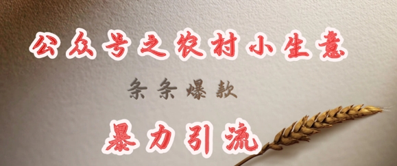 【2025.03.17】deepseek写农村小项目，条条爆款，暴力引流百度网盘免费下载-芽米宝库