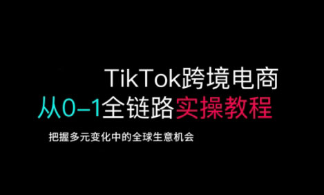 【2025.03.18】TikTok跨境电商从0-1全链路全方位实操教程，把握多元变化中的全球生意机会百度网盘免费下载-芽米宝库