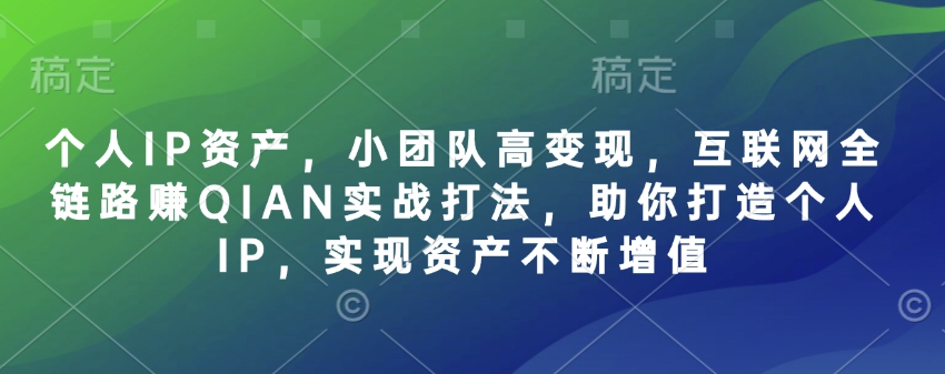 【2025.03.19】个人IP资产，小团队高变现，互联网全链路赚QIAN实战打法，助你打造个人IP，实现资产不断增值百度网盘免费下载-芽米宝库