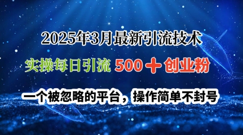 【2025.03.19】2025年3月最新引流技术，实操每日引流500+创业粉，一个被忽略的平台，操作简单不封号百度网盘免费下载-芽米宝库