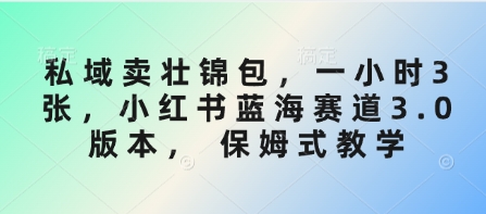 图片[1]-【2025.03.20】私域卖壮锦包，一小时3张，小红书蓝海赛道3.0版本， 保姆式教学百度网盘免费下载-芽米宝库
