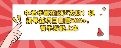 【2025.03.20】中老年都在闷声发财，视频号新项目日入500+，有手就能上车百度网盘免费下载-芽米宝库