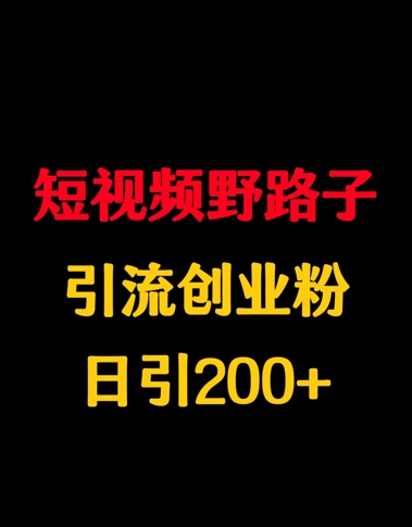图片[1]-【2025.03.20】短视频野路子引流创业粉，日引200+百度网盘免费下载-芽米宝库