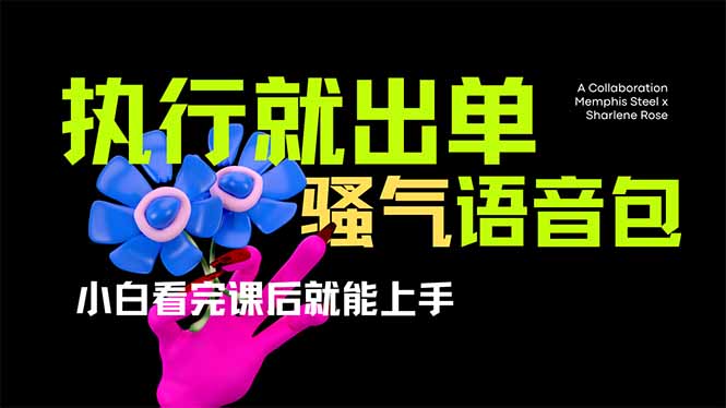 【2025.03.28】爆火全网的开车导航骚气语音包,只要执行就出单，小白看完课程就能实操百度网盘免费下载-芽米宝库