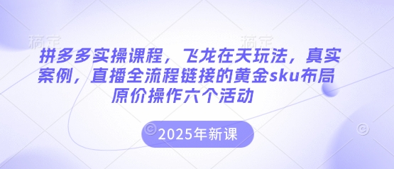 图片[1]-【2025.03.31】拼多多实操课程，飞龙在天玩法，真实案例，直播全流程链接的黄金sku布局原价操作六个活动百度网盘免费下载-芽米宝库