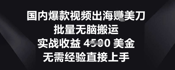 图片[1]-【2025.03.31】国内爆款视频出海挣美刀，批量无脑搬运，实战收益4.5k，无需经验直接上手百度网盘免费下载-芽米宝库