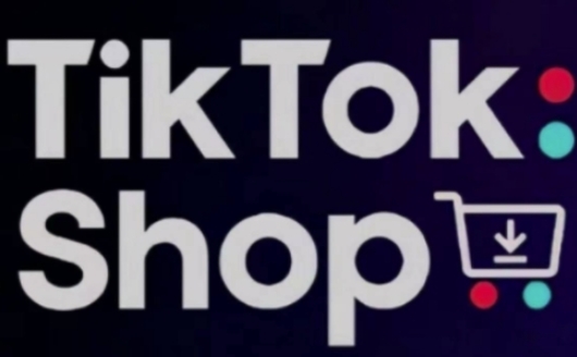 【2025.04.07】TikTokShop跨境电商0-1实战，手把手教你低成本启动海外市场百度网盘免费下载-芽米宝库