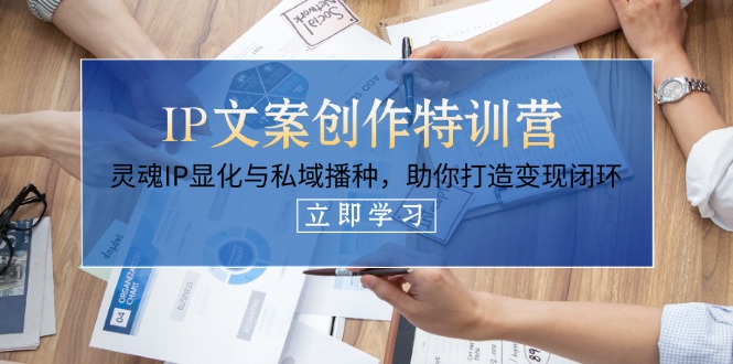 【2025.04.11】IP文案创作特训营，灵魂IP显化与私域播种，助你打造变现闭环（14节课）百度网盘免费下载-芽米宝库