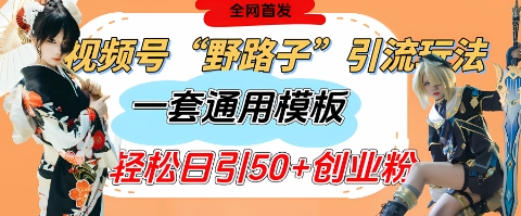 图片[1]-【2025.04.17】视频号“野路子”玩法，评论区疯狂截流，一套模板单日单号引流50+创业粉百度网盘免费下载-芽米宝库