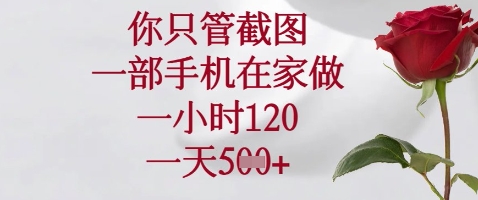 图片[1]-【2025.04.17】你只管截图，一部手机在家做，苹果安卓都可以，一小时120，一天5张+百度网盘免费下载-芽米宝库