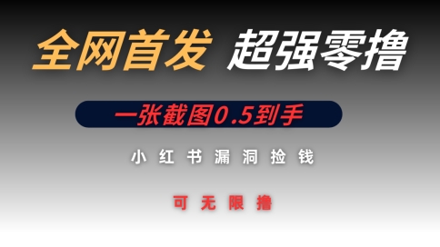 图片[1]-【2025.04.18】全网首发无限零撸捡钱项目，小红书一张截图0.5元可无限零撸百度网盘免费下载-芽米宝库