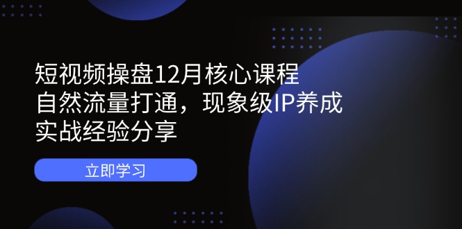 【2025.04.20】短视频操盘12月核心课程：自然流量打通，现象级IP养成，实战经验分享百度网盘免费下载-芽米宝库