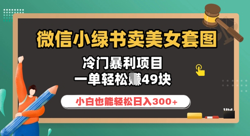 【2025.04.19】微信小绿书卖美女套图，冷门暴利项目，一单轻松挣49块，小白也能轻松日入300+百度网盘免费下载-芽米宝库