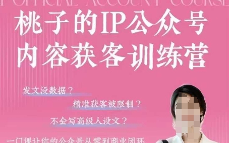 【2025.04.23】桃子IP公众号内容获客训练营(第3期)，一门让你公众号从0到商业闭环的课程百度网盘免费下载-芽米宝库