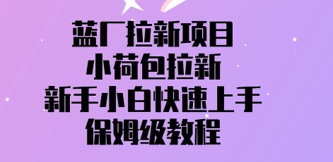 【2025.04.24】蓝厂拉新项目，小荷包拉新，新手小白快速上手，保姆级教程百度网盘免费下载-芽米宝库