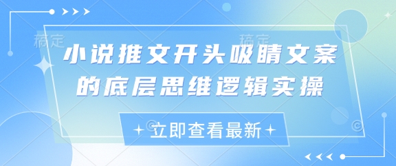 【2025.04.25】小说推文开头吸睛文案的底层思维逻辑实操百度网盘免费下载-芽米宝库
