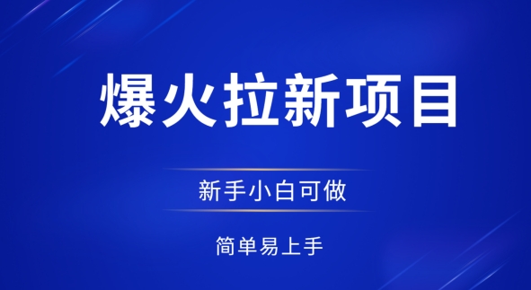 【2025.04.25】爆火拉新项目，有手就行，小白轻松入门，日入100+，拉新整套流程百度网盘免费下载-芽米宝库