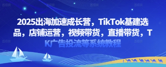 【2025.04.25】2025出海加速成长营，TikTok基建选品，店铺运营，视频带货，直播带货，TK广告投流等系统教程百度网盘免费下载-芽米宝库