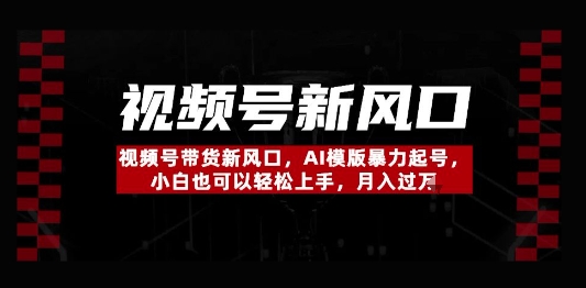 【2025.04.28】视频号带货新风口，AI模版暴力起号，小白也可以轻松上手，月入过W百度网盘免费下载-芽米宝库