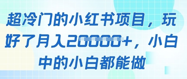 【2025.04.29】超冷门的小红书项目，玩好了月入过1w，小白中的小白都能做百度网盘免费下载-芽米宝库