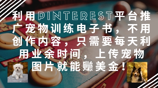 【2025.04.29】利用Pinterest平台推广宠物训练电子书，不用创作内容，只需要每天利用业余时间，上传宠物图片就能挣美金!百度网盘免费下载-芽米宝库