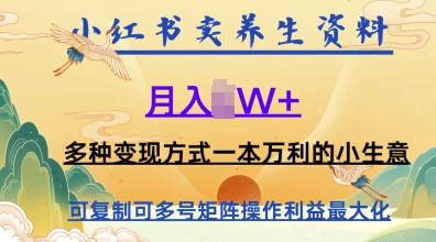 图片[1]-【2025.05.03】在小红书上卖养生资料，月入1w+，多种变现方式一本万利的小生意百度网盘免费下载-芽米宝库