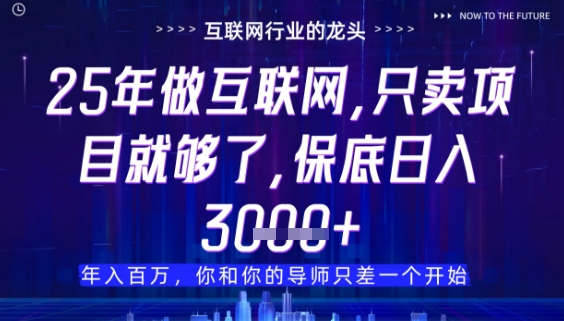 图片[1]-【2025.05.03】什么！25年你还在找项目做？风口早就变了，卖项目才是稳挣不赔百度网盘免费下载-芽米宝库