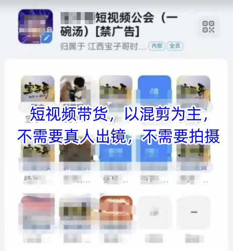 图片[2]-【2025.05.09】2025短视频带货内训营，以混剪为主，不需要真人出镜，不需要拍摄百度网盘免费下载-芽米宝库