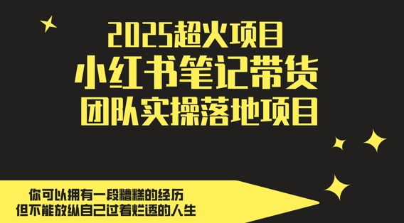 图片[1]-【2025.05.11】2025超火项目，副业最佳选择，小红书笔记带货团队实操落地项目，轻松日入500+百度网盘免费下载-芽米宝库