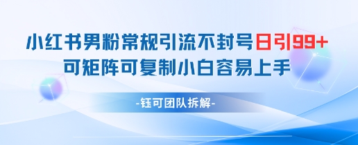 图片[1]-【2025.05.12】小红书男粉常规引流不封号日引99+变现简单 可矩阵可复制小白容易上手百度网盘免费下载-芽米宝库