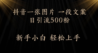 【2025.05.18】每天2分钟，抖音一张图片 一段文案日引流500粉百度网盘免费下载-芽米宝库