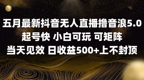 图片[1]-【2025.05.19】2025五月最新无人直播撸音浪，单日产出500+实操教程百度网盘免费下载-芽米宝库