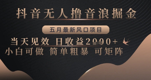 【2025.05.20】抖音无人撸音浪掘金，五月最新风口项目，当天见效，日收益多张，小白可做简单粗暴可矩阵百度网盘免费下载-芽米宝库