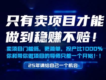 图片[1]-【2025.05.20】只有卖项目才能做到稳挣不赔，门槛低，更简单，你也可以年入百个W百度网盘免费下载-芽米宝库