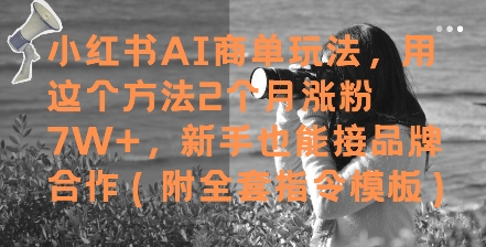 图片[1]-【2025.05.23】小红书AI商单玩法，用这个方法2个月涨粉7W+，新手也能接品牌合作(附全套指令模板)百度网盘免费下载-芽米宝库
