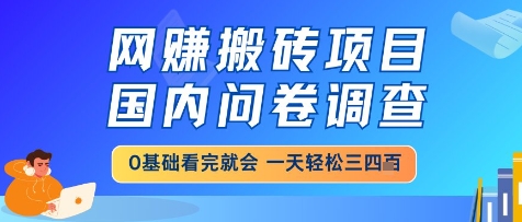 【2025.05.24】网创搬砖项目，国内问卷调查，小白轻松上手，一天三四张的也不难，干就完了百度网盘免费下载-芽米宝库