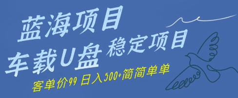 图片[1]-【2025.05.25】蓝海项目车载U盘稳定项目，挣的就是信息差，客单价99，日入500+简简单单百度网盘免费下载-芽米宝库