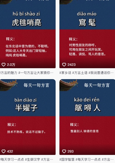 图片[2]-【2025.05.25】抖音最新涨粉玩法，图文方言暴力涨粉实操，126作品涨粉11W百度网盘免费下载-芽米宝库