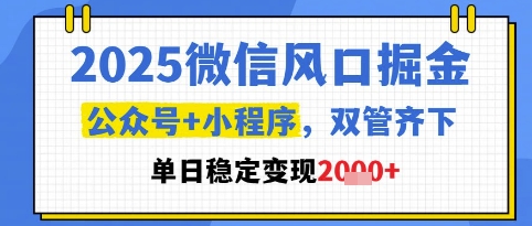 图片[1]-【2025.05.26】2025微信风口掘金，公众号+小程序双管齐下，单日稳定变现1k+百度网盘免费下载-芽米宝库