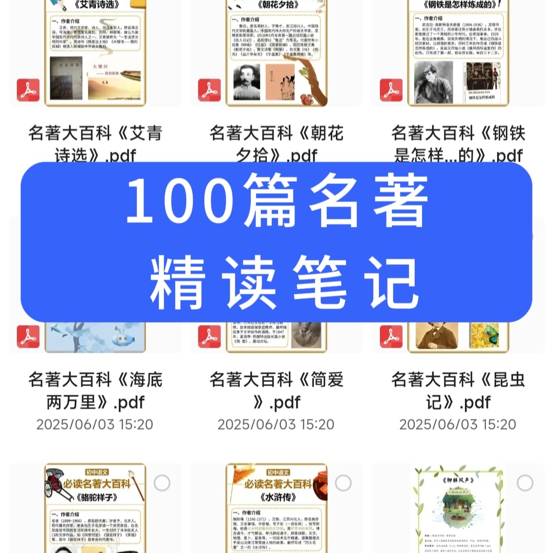 四大名著等中内外百篇名著精读笔记电子资料免费分享（可打印）百度网盘免费下载-芽米宝库