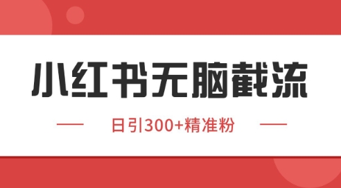 【2025.06.05】小红书截流同行客源，独家野路子获客玩法 日引200+暴力获客百度网盘免费下载-芽米宝库
