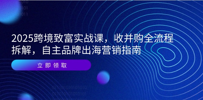 【2025.06.06】2025跨境致富实战课，收并购全流程拆解，自主品牌出海营销指南百度网盘免费下载-芽米宝库