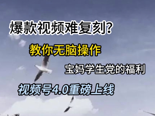 【2025.06.09】视频号4.0重磅上线，爆款视频难复刻？教你无脑操作宝妈学生党的福利百度网盘免费下载-芽米宝库